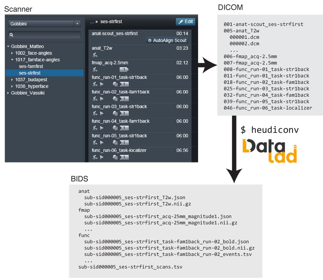 :img ReproIn conversion schema, 100%